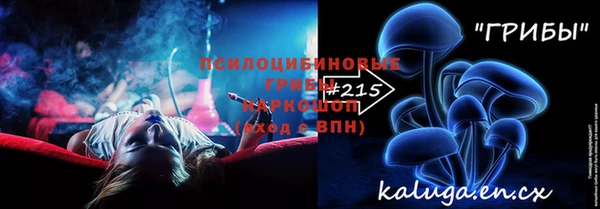 шишки Новозыбков