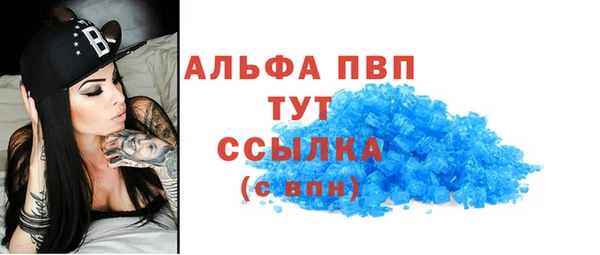шишки Новозыбков
