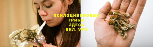 шишки Новозыбков