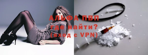 шишки Новозыбков