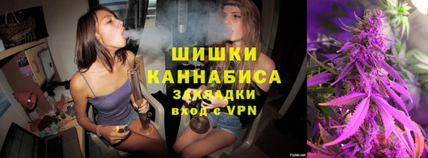 шишки Новозыбков