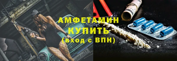 шишки Новозыбков
