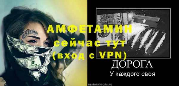 шишки Новозыбков