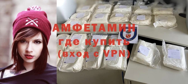 шишки Новозыбков