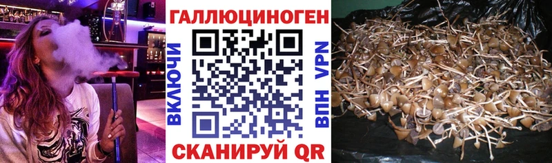 Псилоцибиновые грибы ЛСД  Усть-Лабинск 