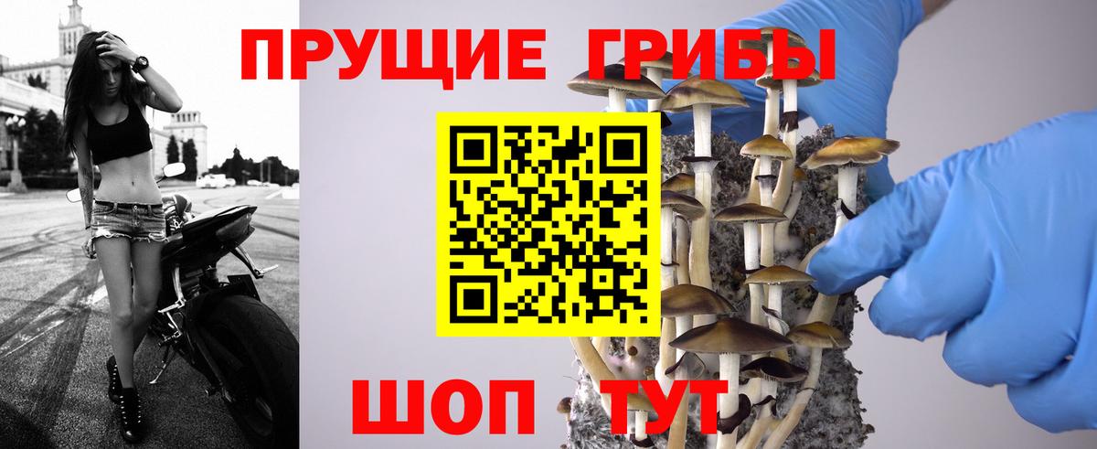Галлюциногенные грибы GOLDEN TEACHER  Псилоцибиновые грибы мухоморы  Вход с VPN  Усть-Лабинск 